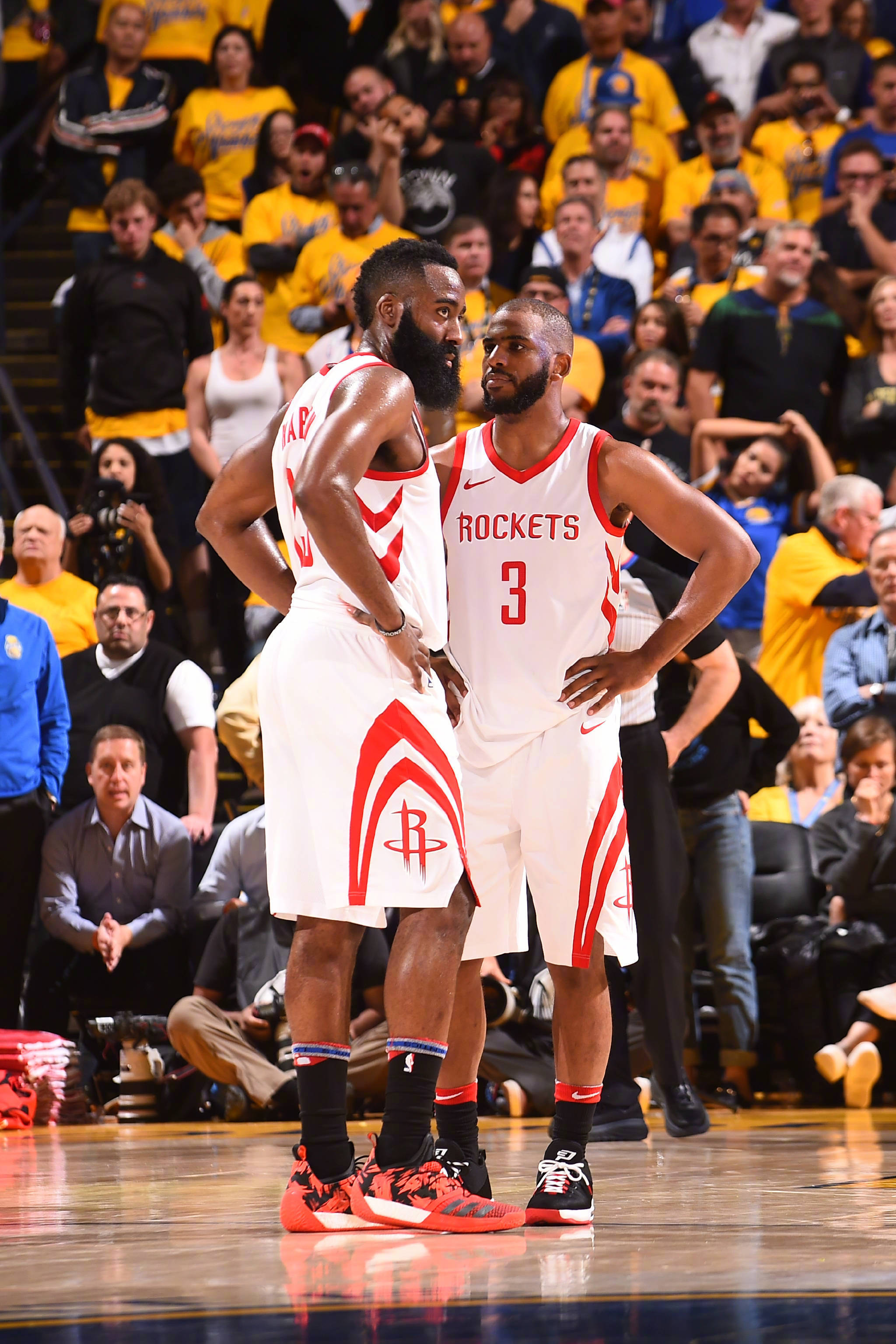 口内的新秀 口内的新秀